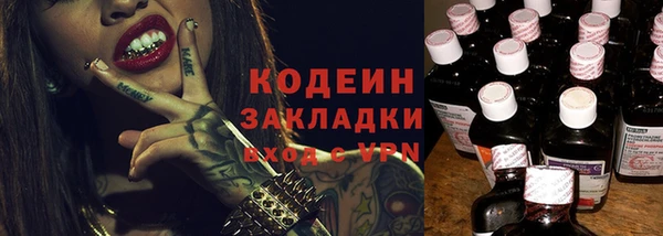 гашик Ельня