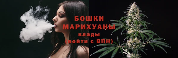 альфа пвп Заводоуковск