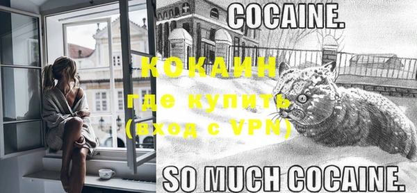 альфа пвп Заводоуковск