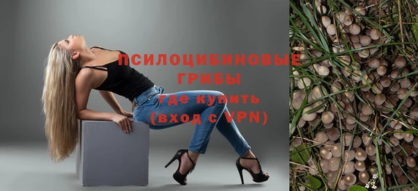 альфа пвп Заводоуковск